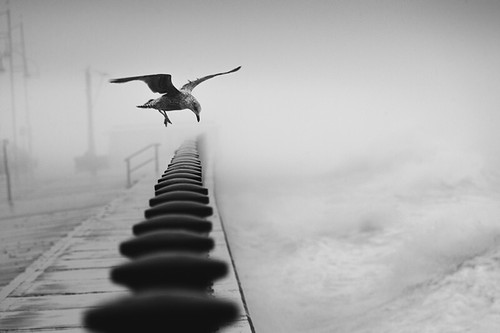 Rough sea landing in fog