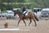 BPP_9684
