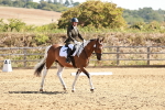 SBM_000783