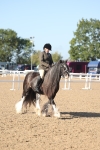 SBM_22201