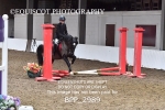BPP_2989