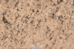 231015A-112554-07458
