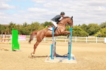 SBM_006549