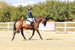 SBM_012013