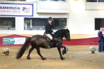 SBM_23831