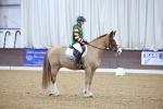 SBM_001241