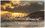 Ownahincha, West Cork