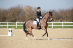 SBM_008349