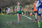 Cumbria XC-201
