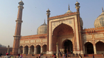 Delhi portfolio
