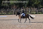 BPP_8323