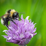 Nothing Is As It Seems ...