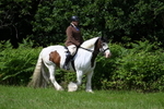 WJ7_1521