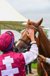 230823-Race 7-Zoulu Chief-1019