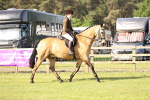 SBM_10712
