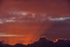 ACP_7772_copy