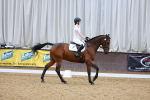 SBM_002804