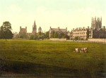 Oxford Merton 5