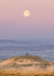 Rivington Pike Full Moon