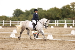 SBM_000981