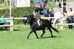 SBM_50339