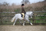 SBM_006314