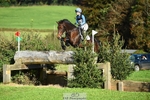 347-SHANBEG.PANDORA-Alice.Gates-XC portfolio