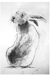 available originals portfolio