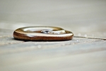 Slow Worm