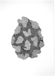 Fray and Fragment 8, Indian Ink on Paper, 59m x 84cm