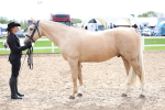 SBM_04472
