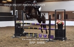 BPP_8466