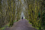Kielder-1144