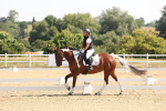SBM_003408