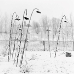 A minor Prelude, Pleasant Unity, Pennsylvania 2013