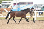 SBM_08505