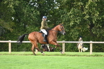 S6 - Novice & newcomer Ridden horse portfolio