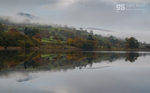 Llyn Tegid reflections