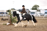 SBM_00285