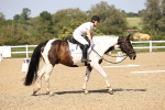 SBM_010147