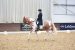 SBM_021669