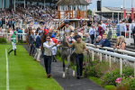 270724-Race 4-Greydreambeliever-7195