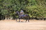 WJ6_6781