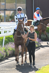 160725-Race 6-Bellarchi-9490