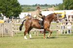 SBM_09638