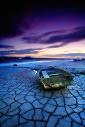 Selected images from the archive portfolio