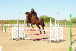 SBM_000569