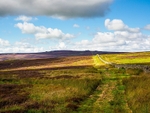 Barden Moor