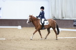 SBM_003520