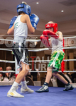 Sparring Bout-1_Arnie Watson v Rio Gaudion portfolio